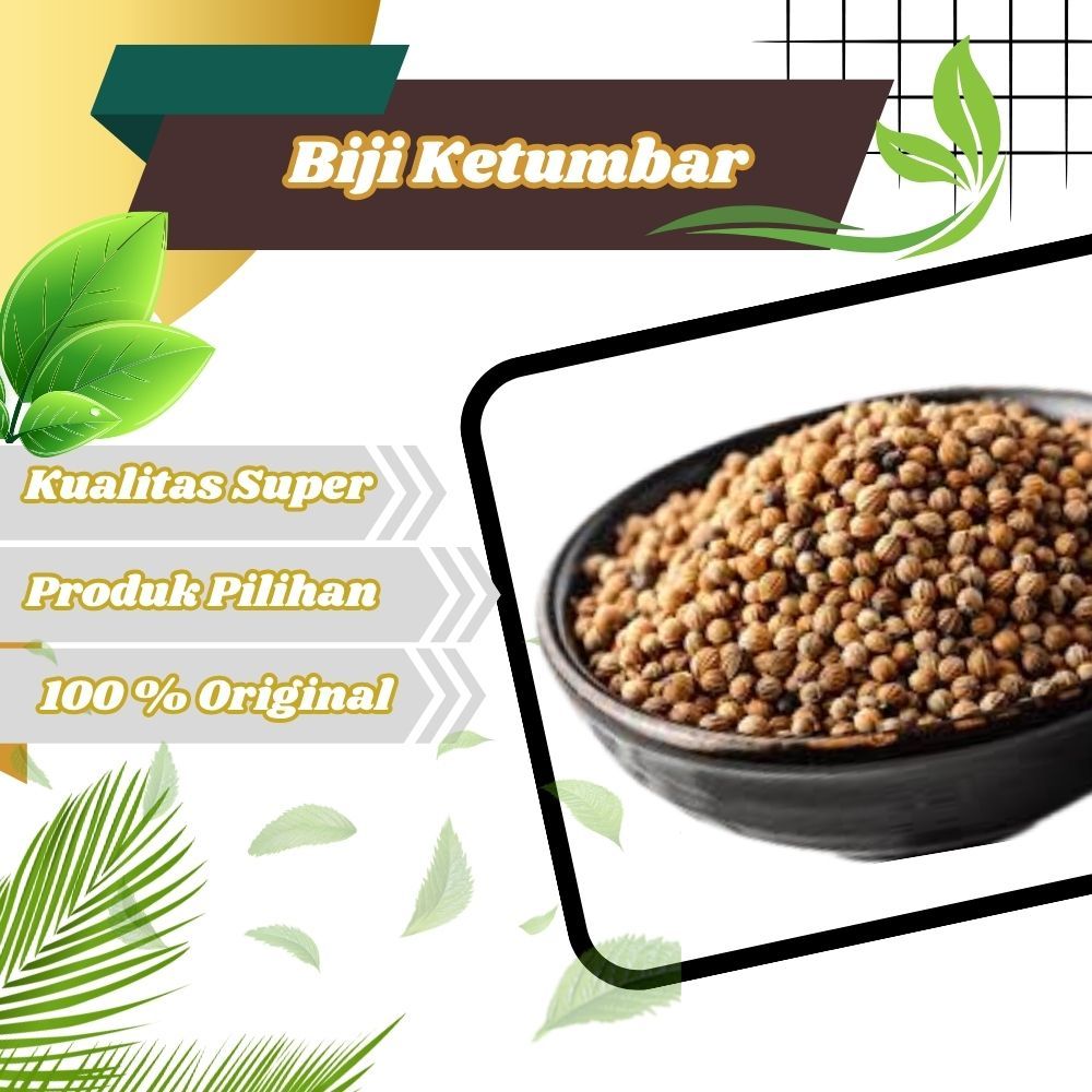 

Biji Ketumbar Coklat Alami Tanpa Pemutih rempah bumbu masakan penyedap