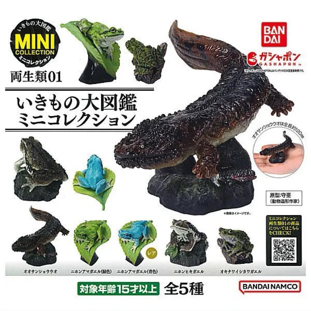 Gachapon Ikimono Daizukan Mini Collection Amphibians Figure 5 Set Frog Giant salamanderIkimono Daizu