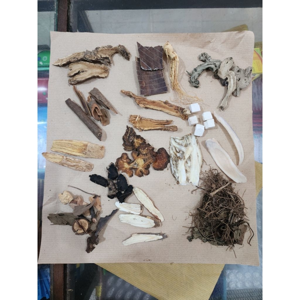 

Du Huo Ji Sheng Tang 独活寄生汤 rebusan sehat badan
