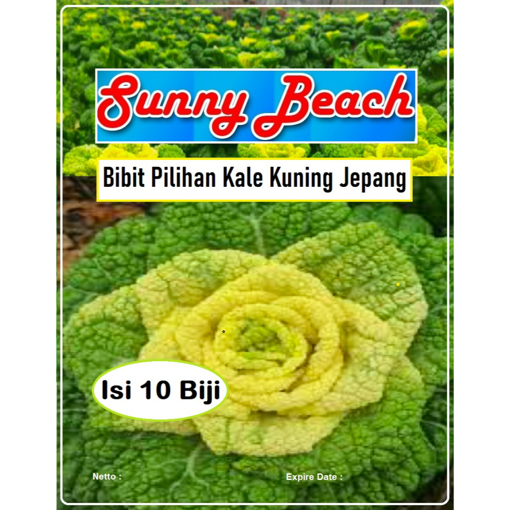 Bibit Pilihan Kale Kuning Jepang | Biji Benih Kale Kuning Jepang | Bibit Sayur Kale