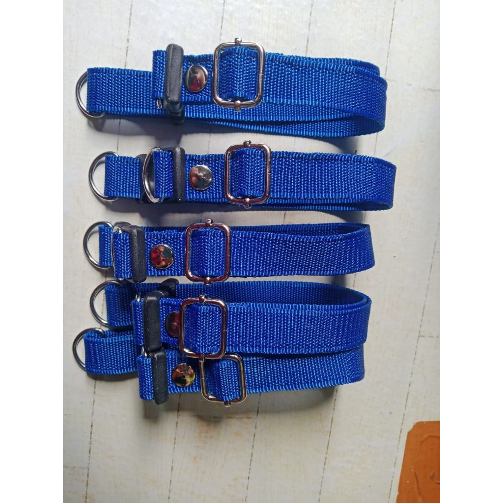 Kalung kambing remaja/kalung kambing dewasa warna biru.