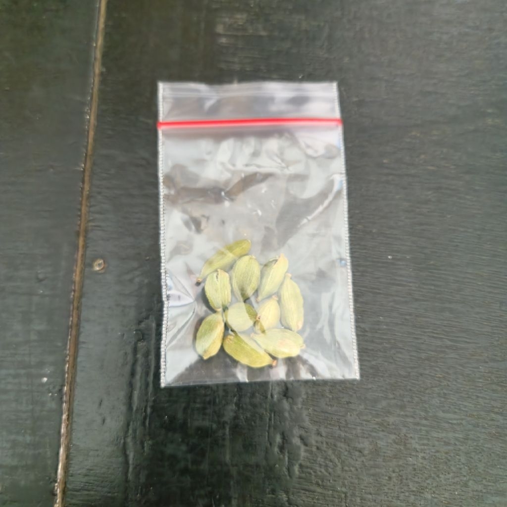 

Tanur Kapulaga india 10 butir