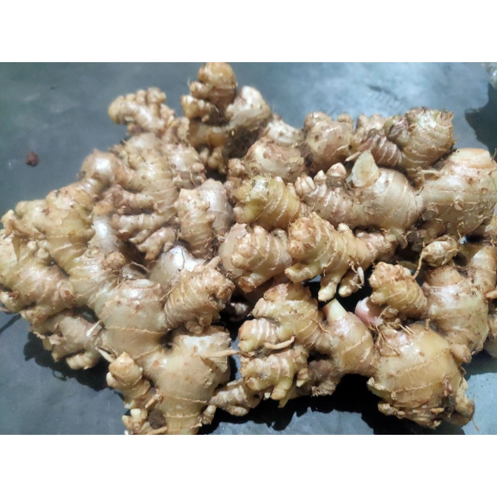 

Jahe emprit 27 ribu 1kg