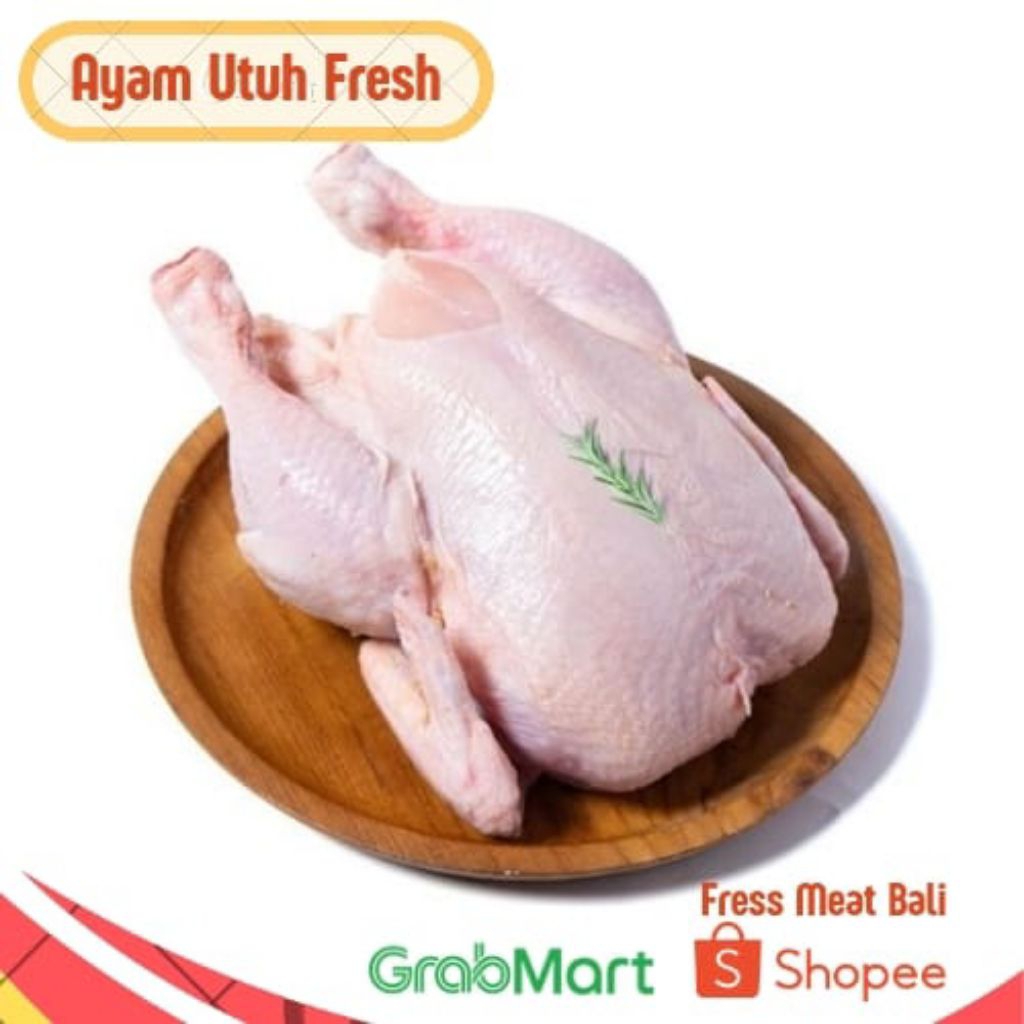 

Ayam fresh utuh - Ayam utuh bersih berat (0,7 grm - 1,1 kg)/best chicken