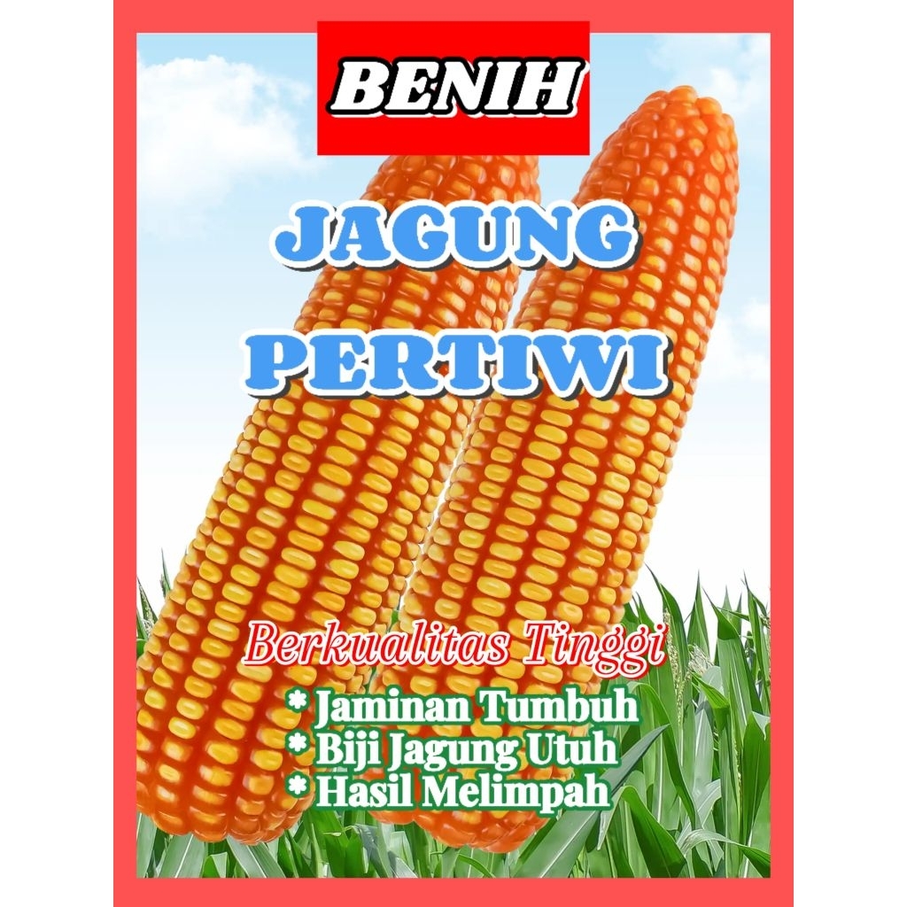 benih jagung pertiwi