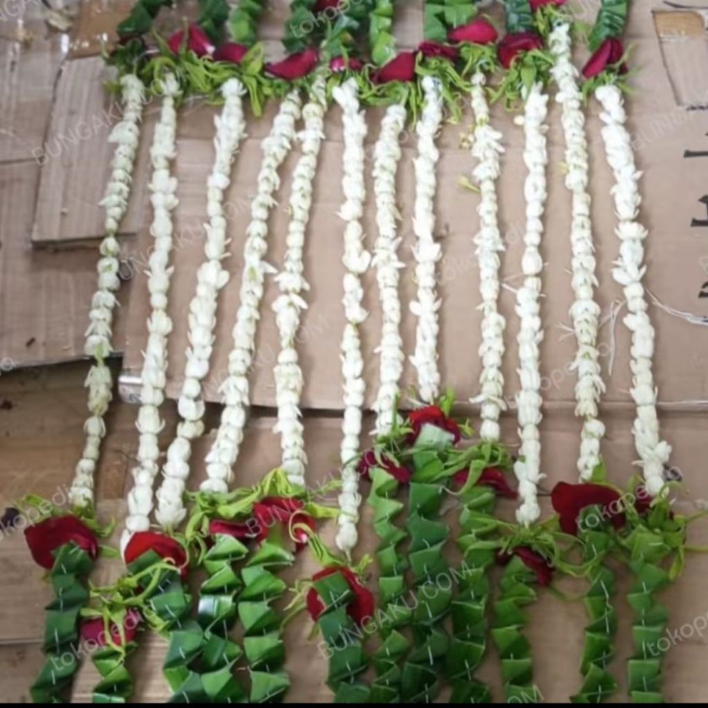 roncean keranda / roncean melati keranda /bunga keranda