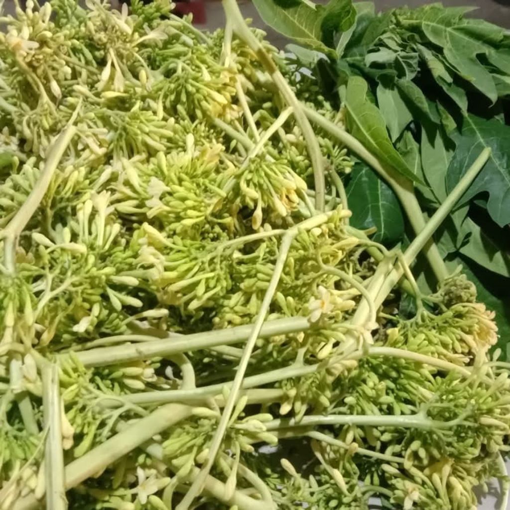 

bunga pepaya segar per 500gram murah