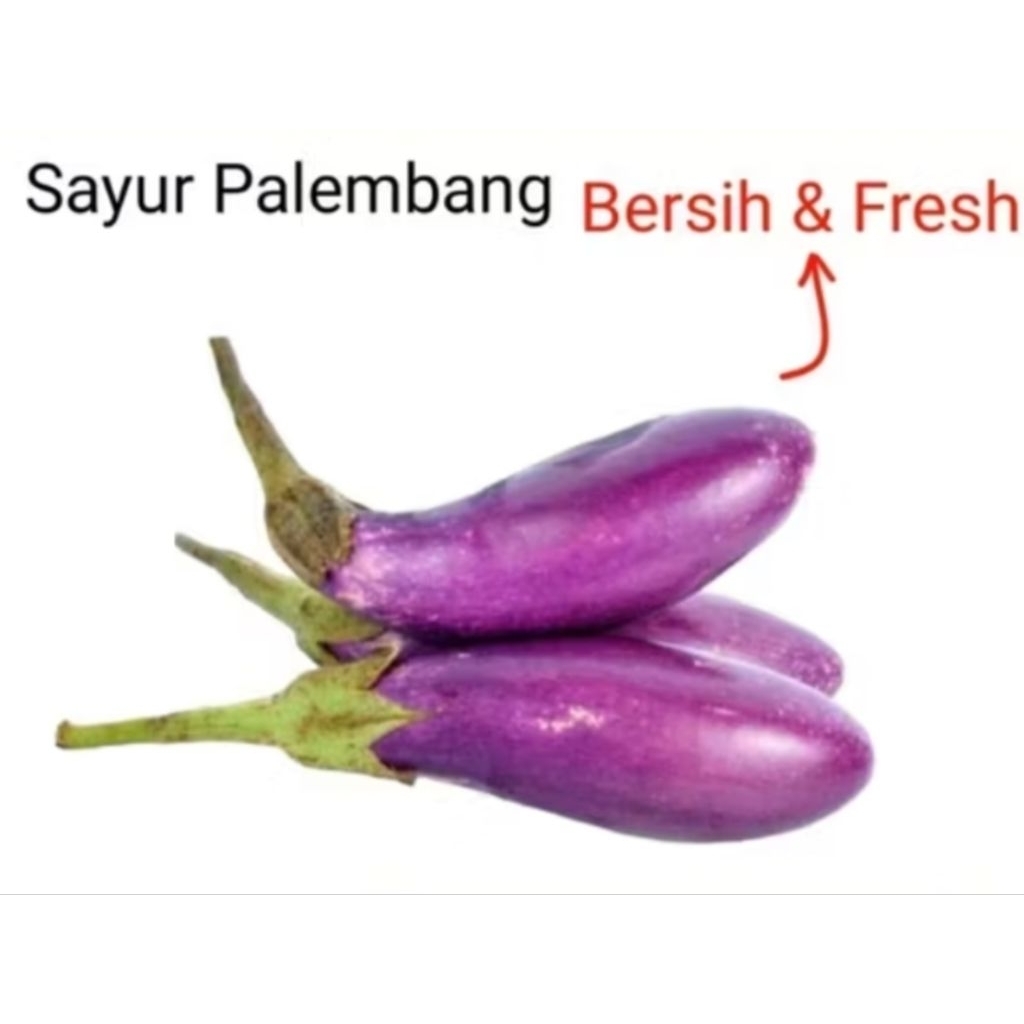

TERING UNGU - PALEMBANG