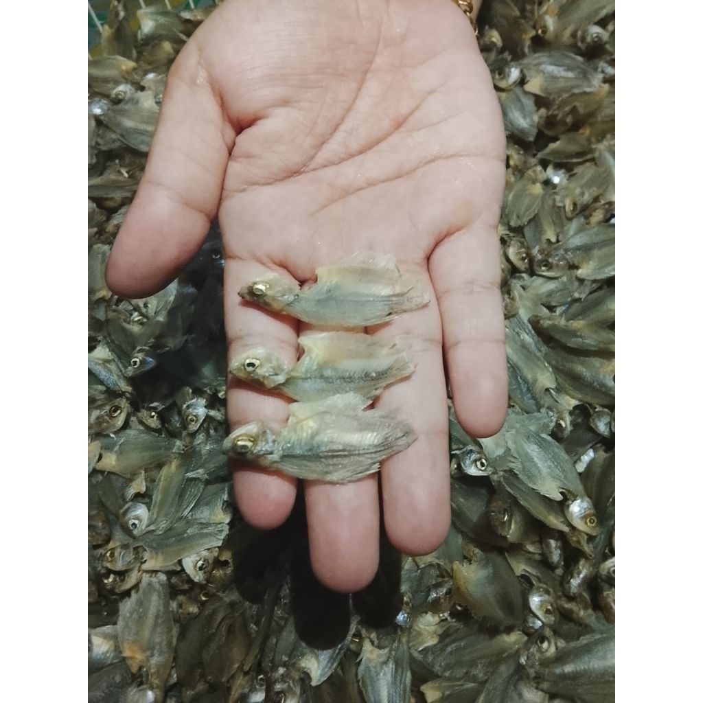

1 Kg ikan sepat kering asli martapura.