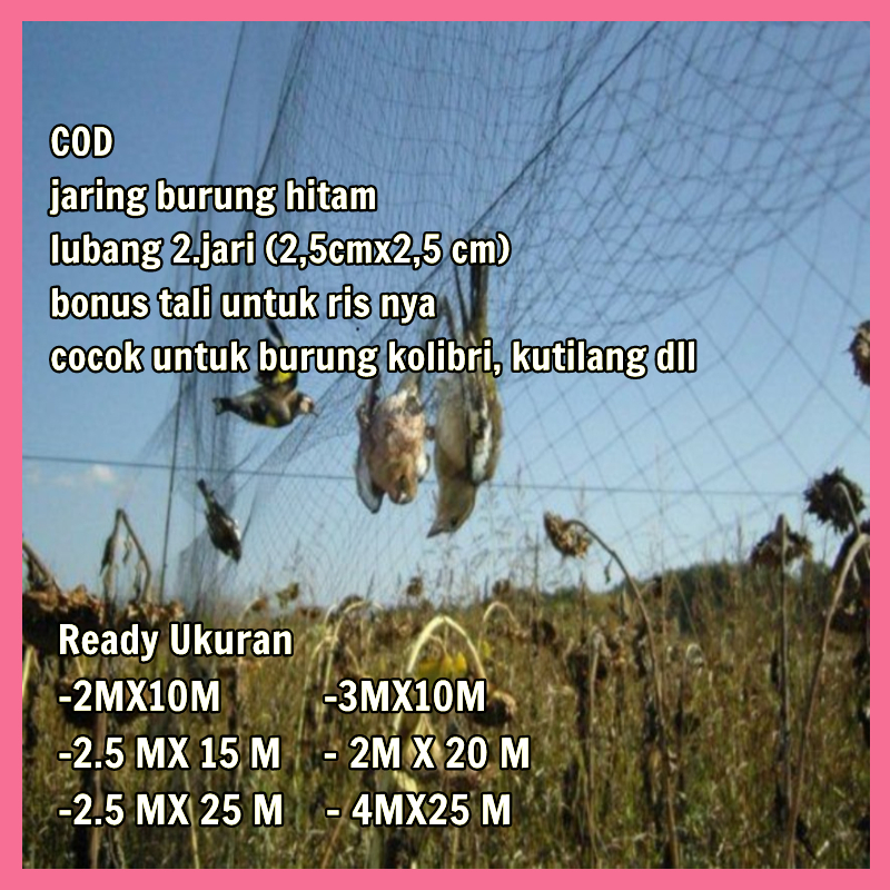 JARING BURUNG KUTILANG JARING BURUNG MURAI BATU JARING JARING BURUNG SIAP PAKAI