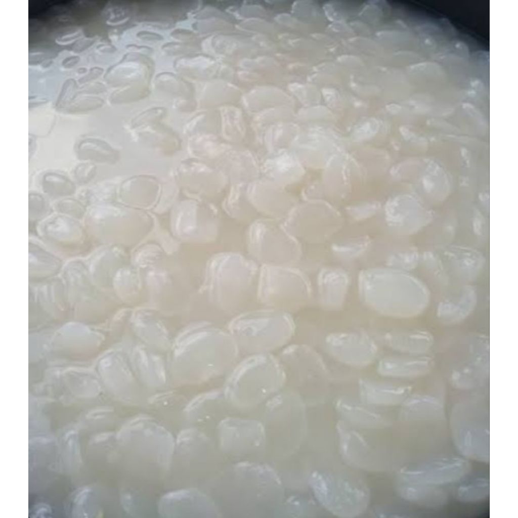 

Jual kulang kaling /atau caruluk segar kuwalitas bagus 250 g