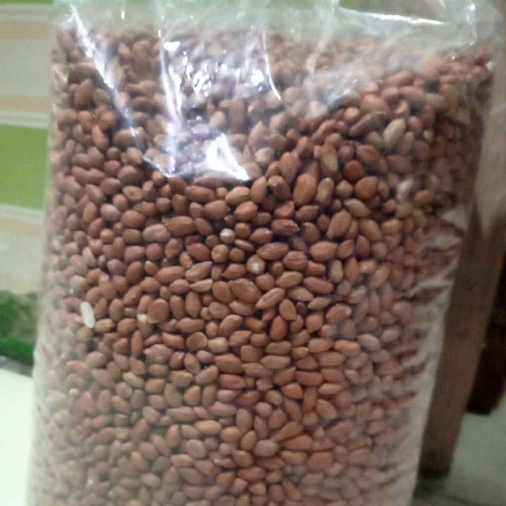 

kacang tanah 5kg