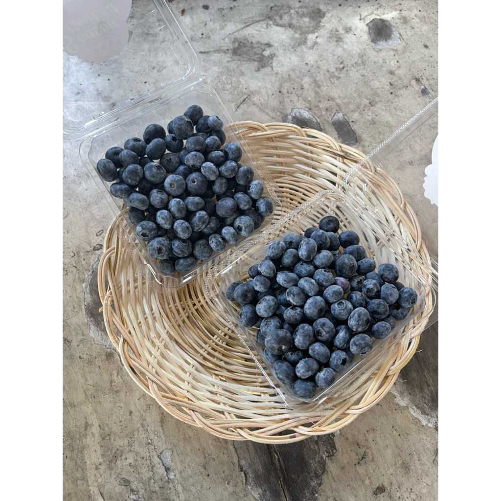 

buahfreshku - blueberry 1 pack 125 gram