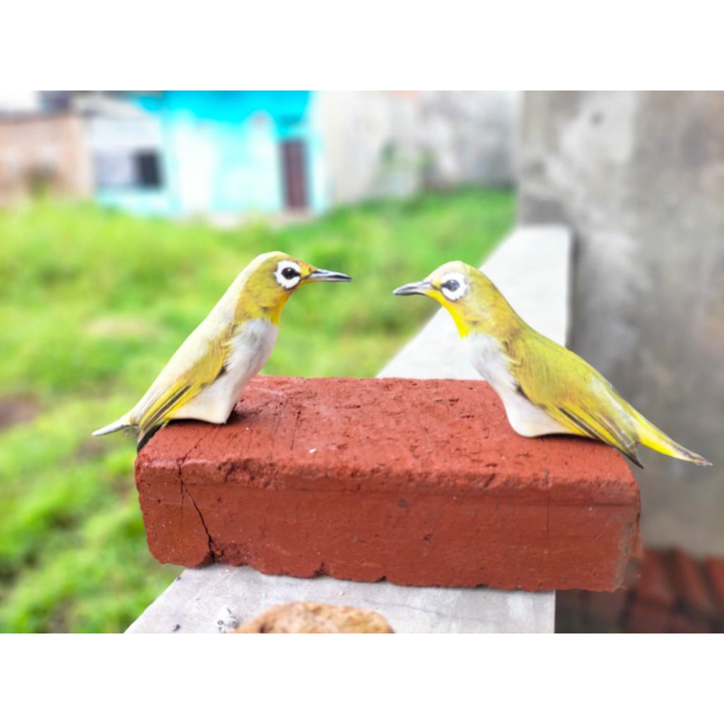 PATUNG JONTROT BURUNG KACAMATA - JONTROT BURUNG KACAMATA MIRIP ASLI