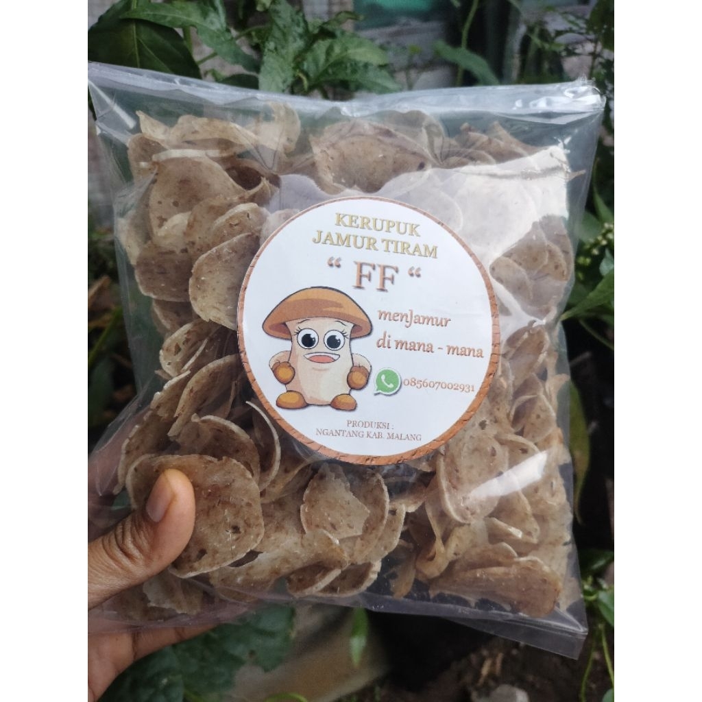 

KERUPUK JAMUR TIRAM MENTAH TERLARIS