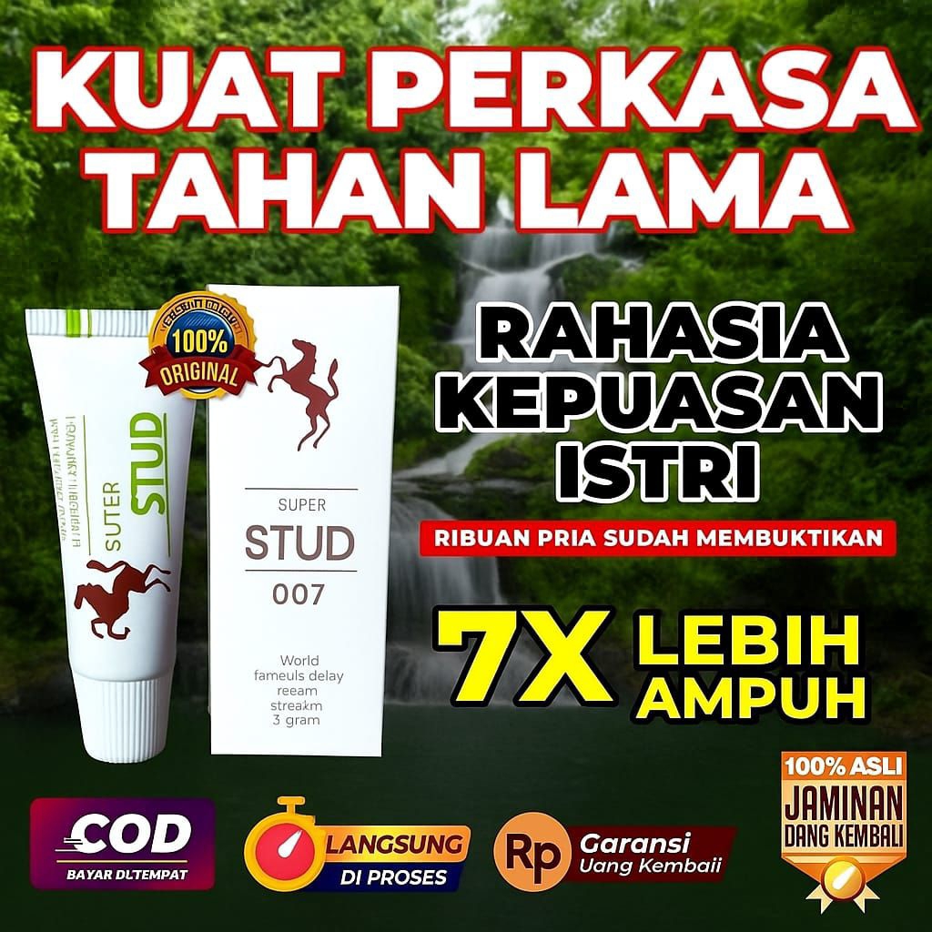 Stud 007 cream original Oles oles stamina
