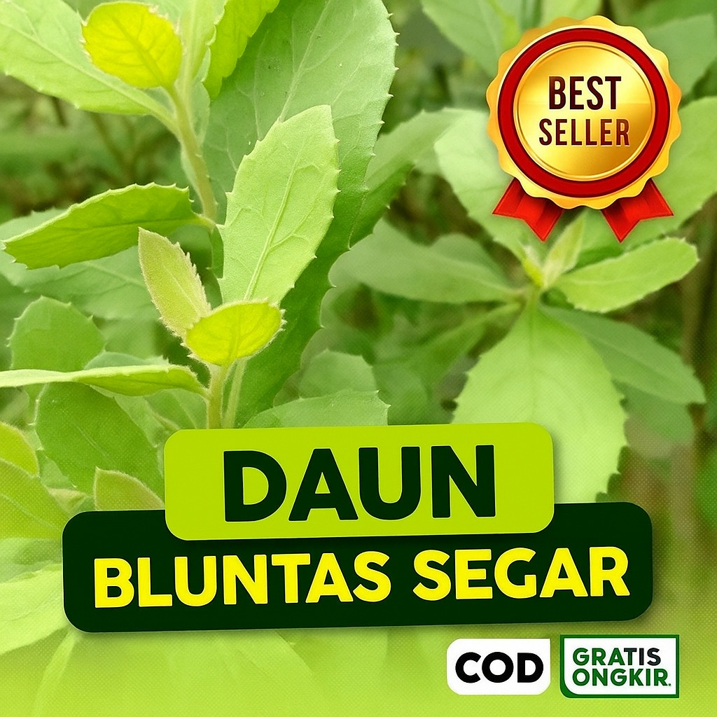 

Daun Bluntas Segar Organik 250Gr– Herbal Tradisional Untuk Bau Badan & Kesehatan