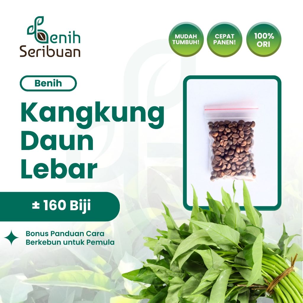 Benih Seribuan - 160 Benih Sayuran Kangkung Daun Lebar