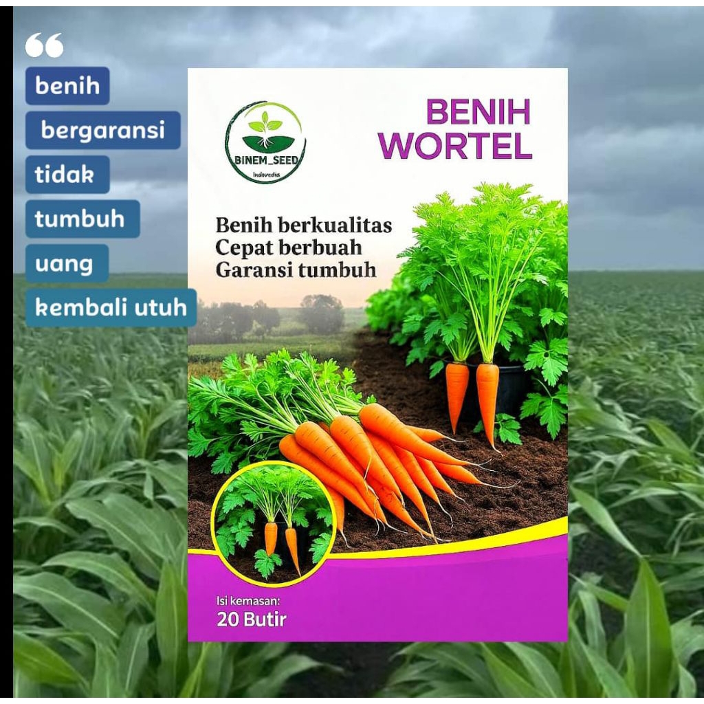 benih wortel