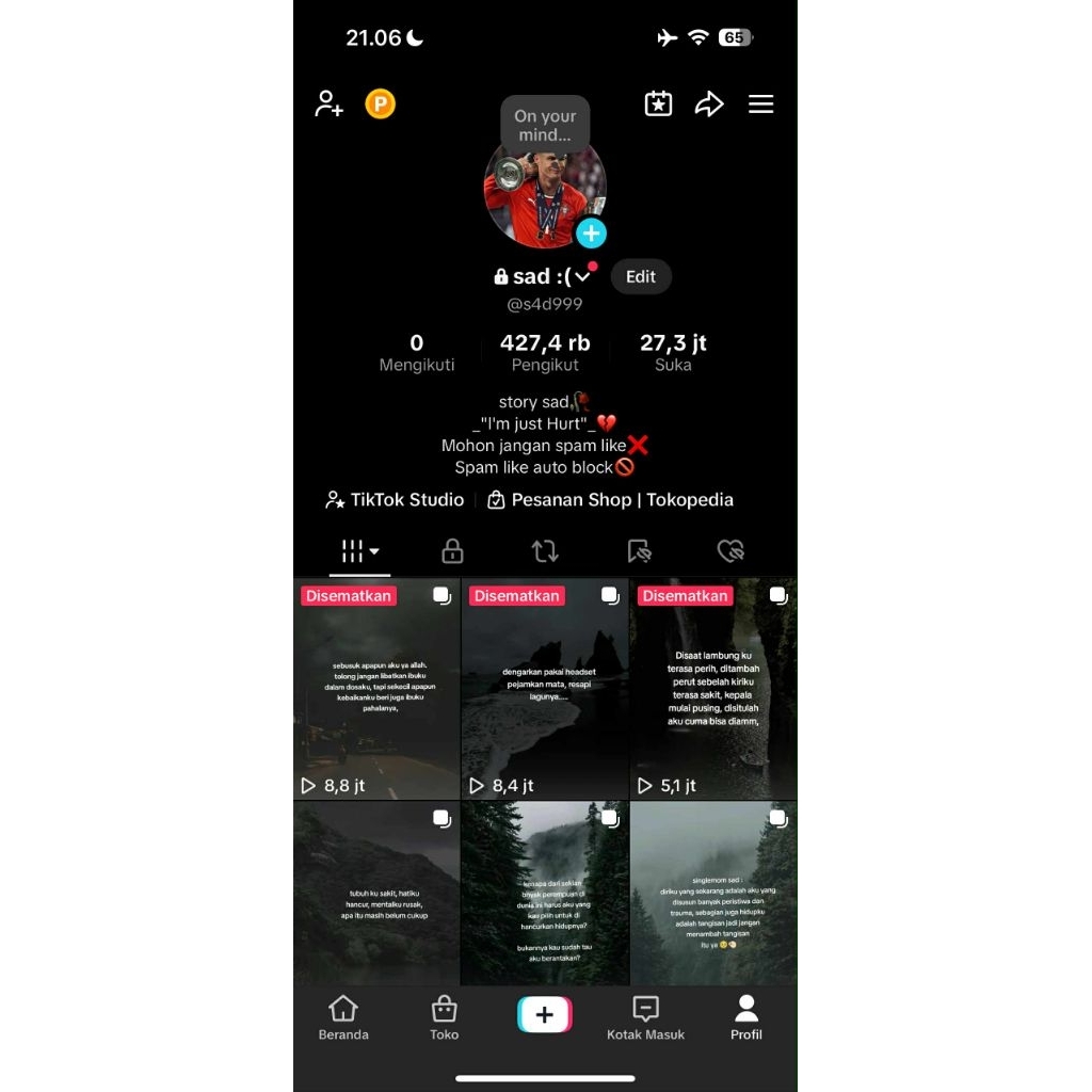 AKUN TIKTOK 400k FOLLOWERS REAL INDO