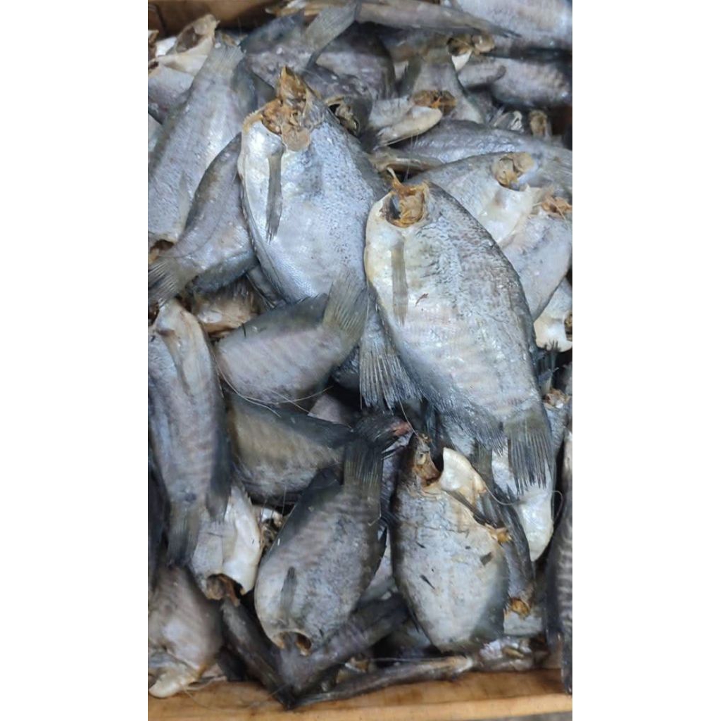 

Ikan Asin Sepat Siem khas Lampung 500 Gram