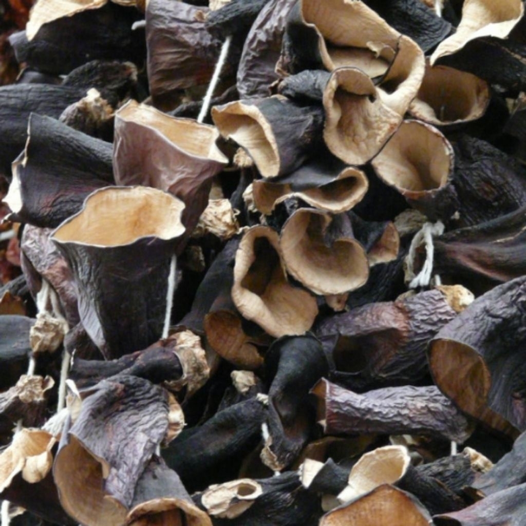 

Jamur Kuping Kering 100 gr