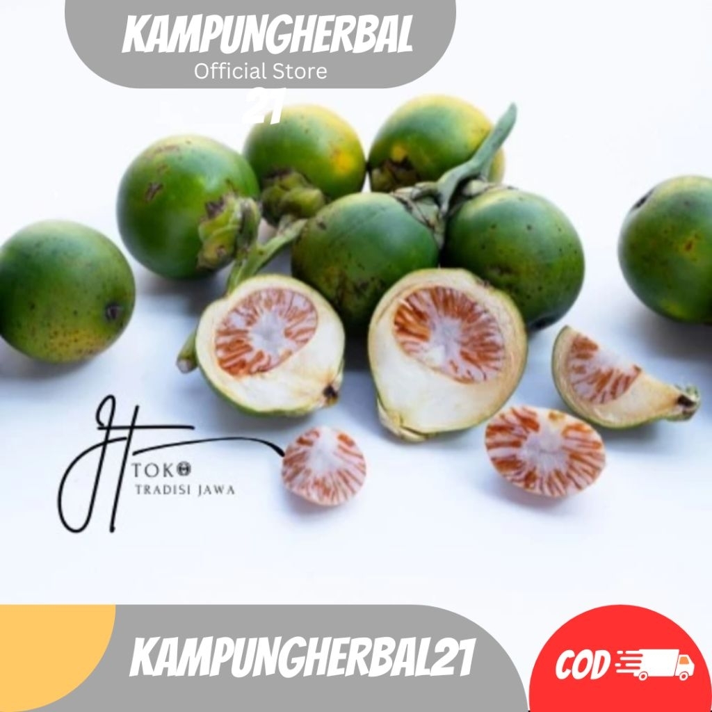 

BUAH PINANG MUDA STAMINA HERBAL BUAH PINANG MUDA HERBAL 1KG BERKUALITAS