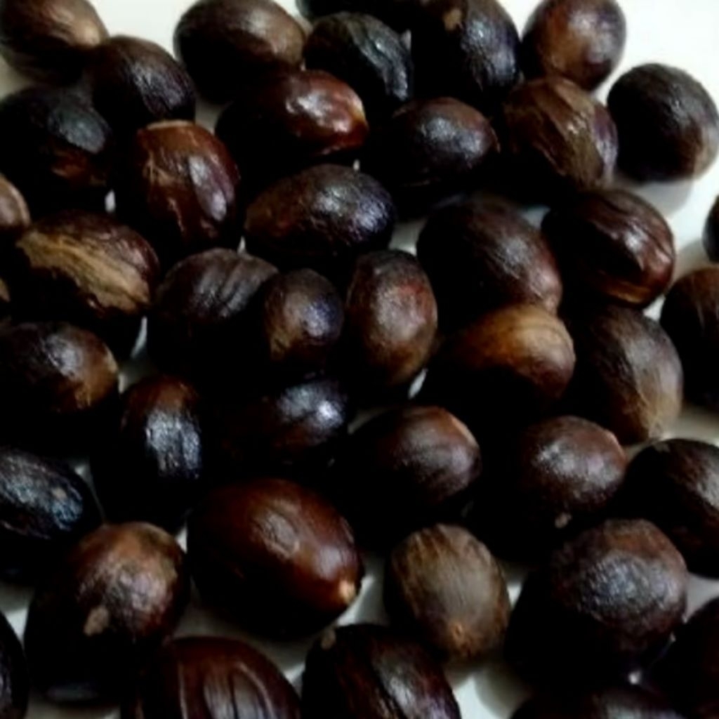 

Biji buah Pala bulat Kupas/Buah pala 1kg