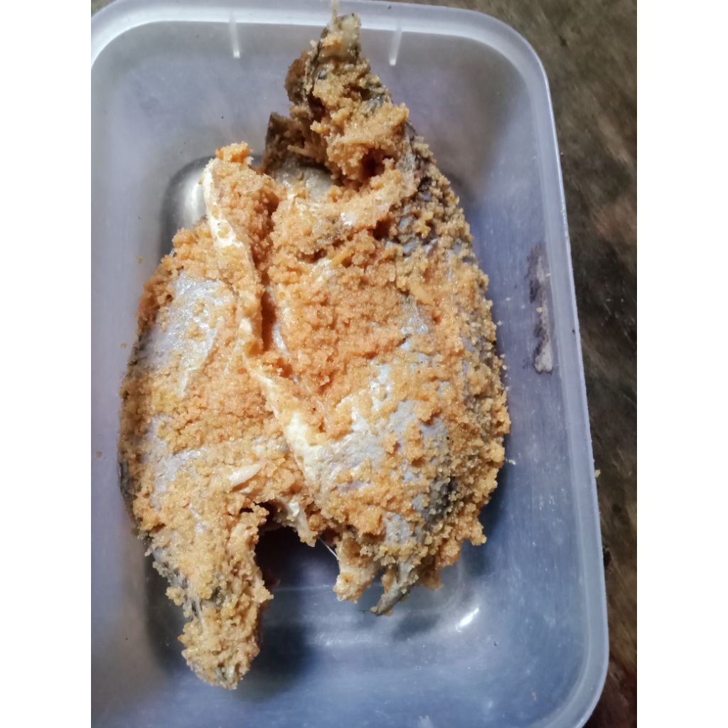 

iwakPakasamNILA
