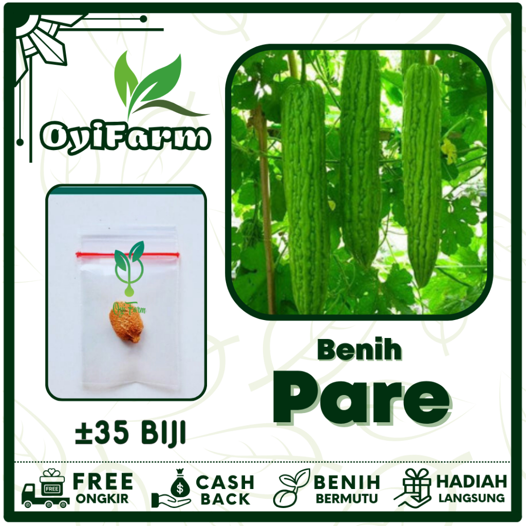 Benih Pare Sayuran Pahit Besar - Bibit Sayuran