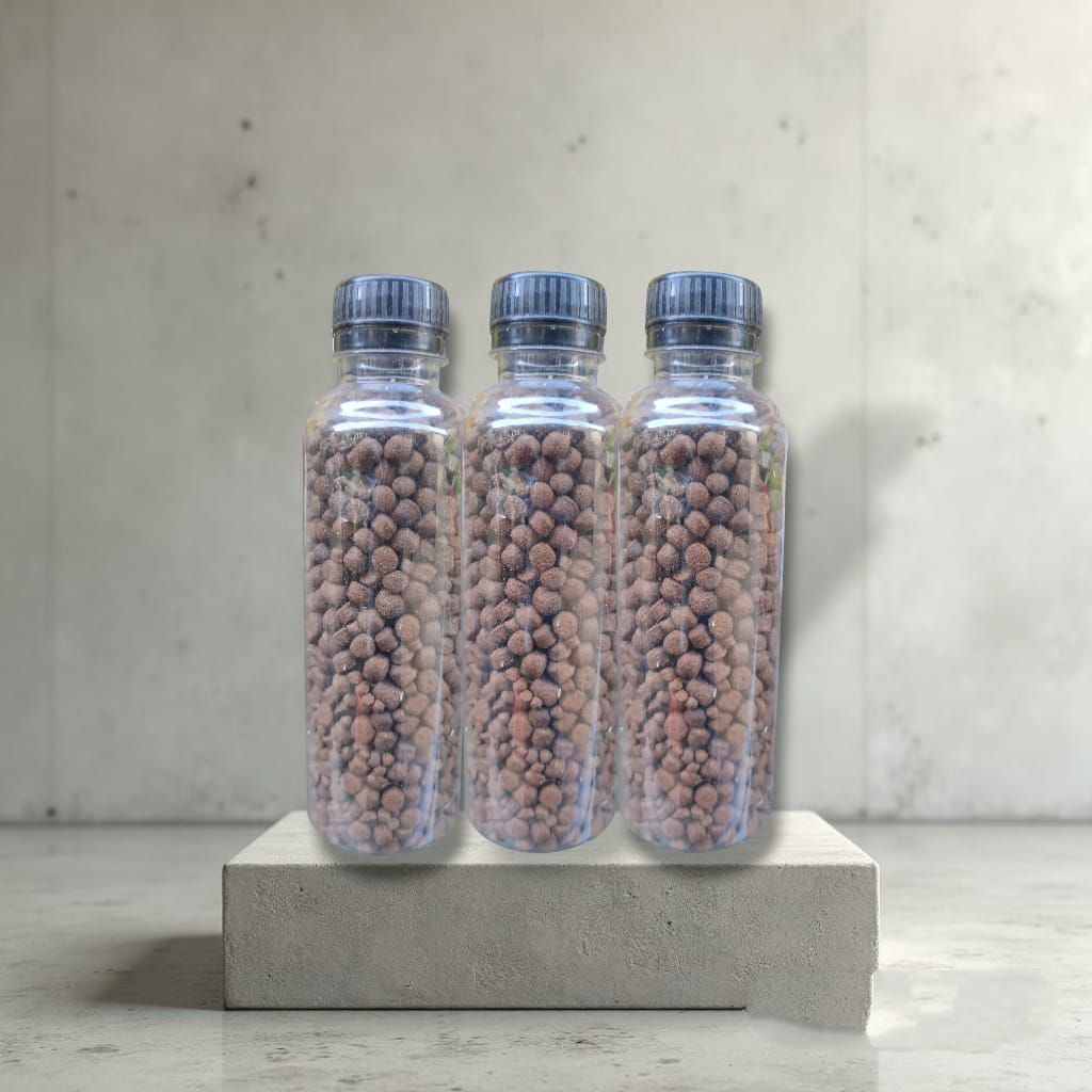 Ikan Koi | Pakan Ikan Koi