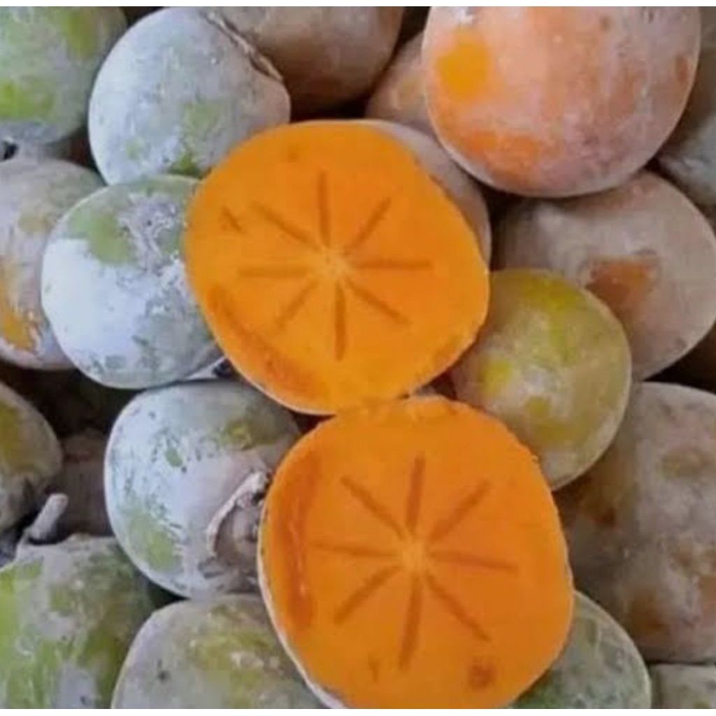 

Buah Kesemek Orange Segar Sehat Manis Nutrisi Mengkal Mateng.