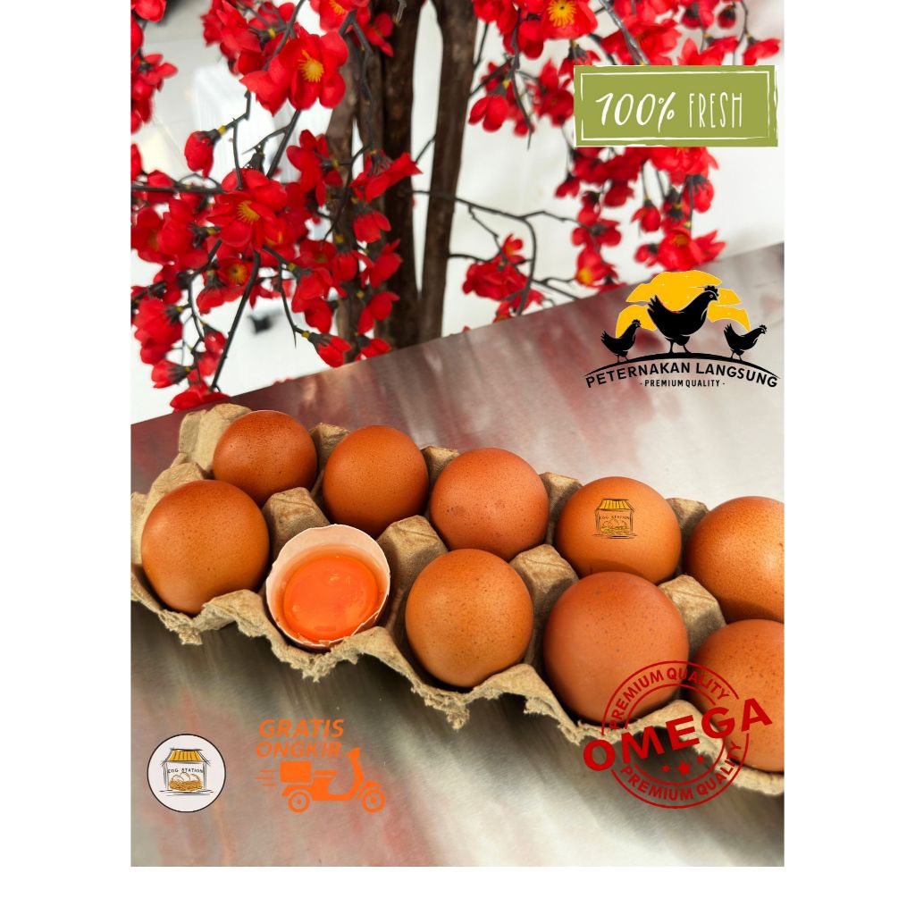 

Telur Ayam Negeri OMEGA 3 - 10 butir FRESH Grade A Bersih Kualitas Terbaik