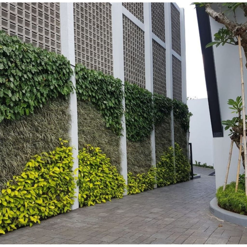 taman vertikal - tukang taman vertical garden
