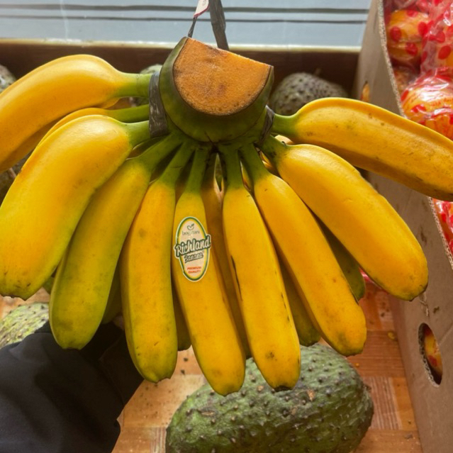 

Pisang Ausie Bogatani Premium | Sisir