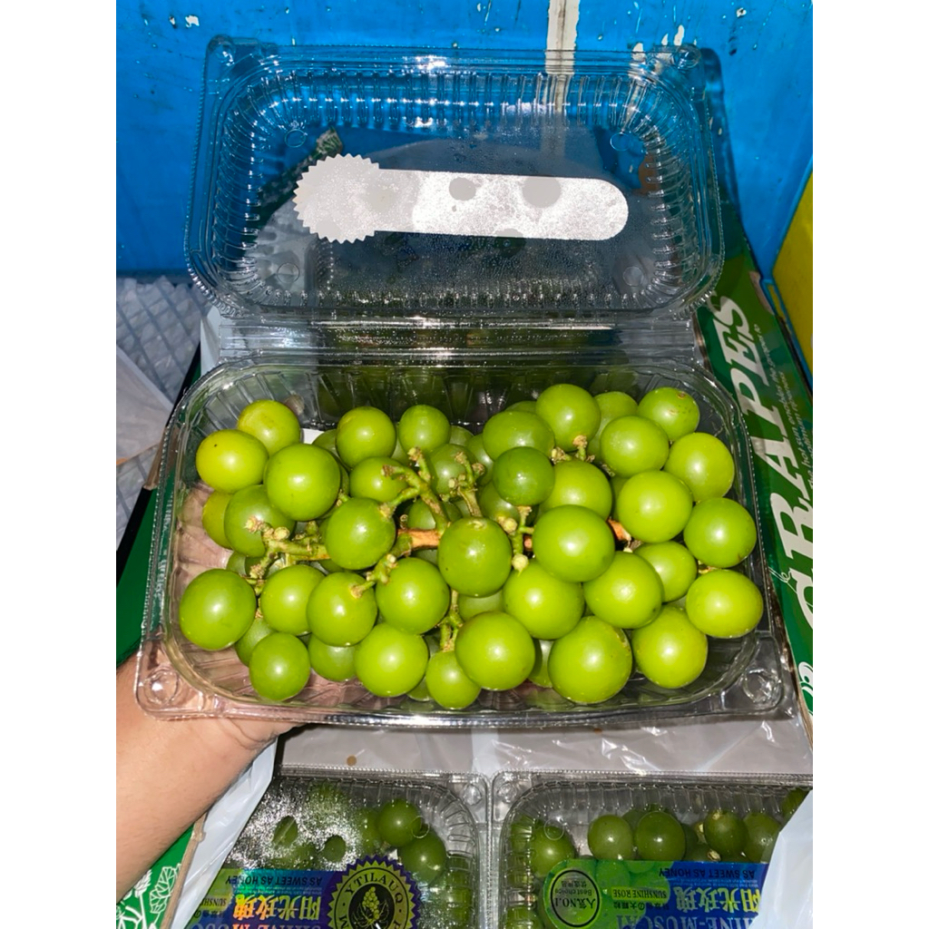 

Anggur Muscat Pack 500gram