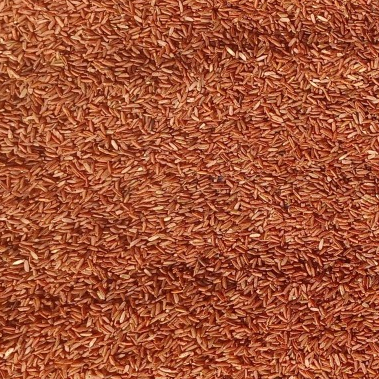 

Beras Merah 1 Liter | sehatMurah 1Liter 1L 1 L