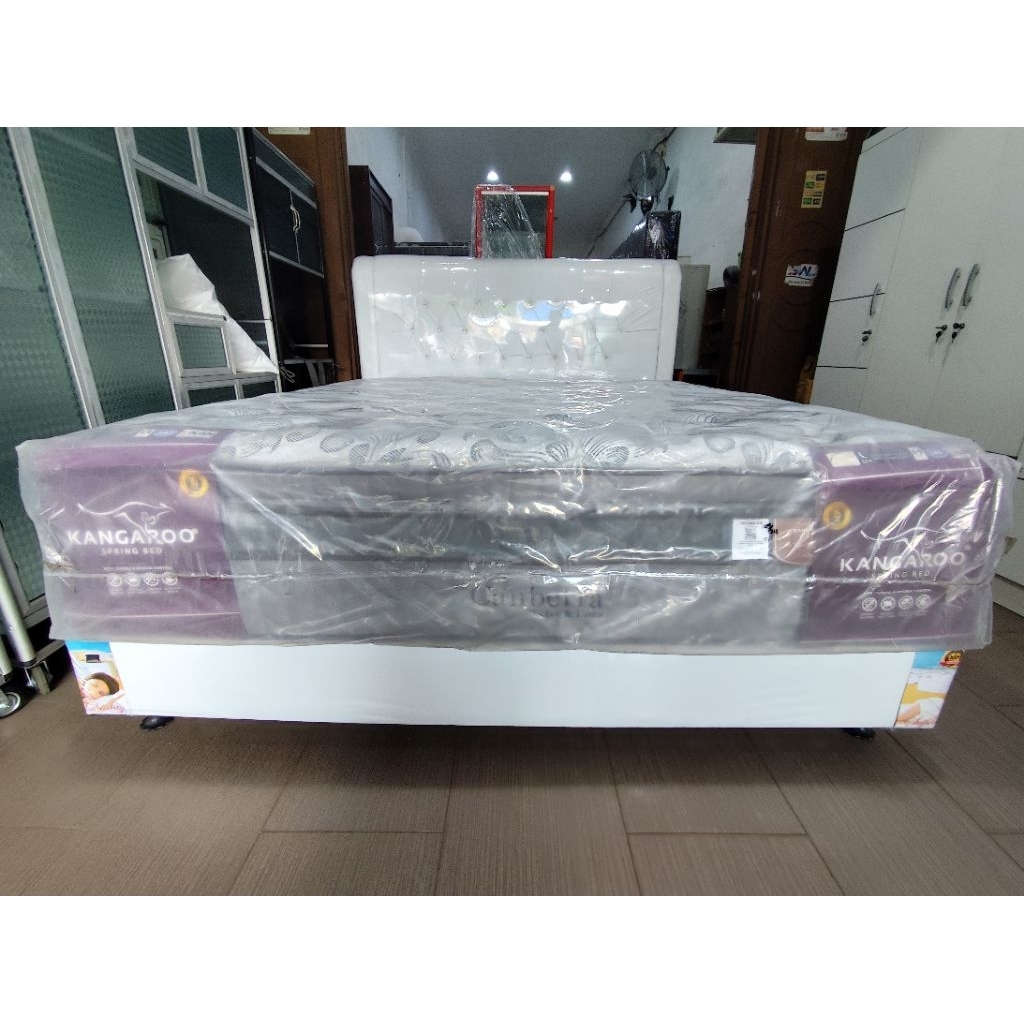 Springbed Kangaroo Canberra Garansi Busa & Pegas 15 Tahun - Golden Mebel