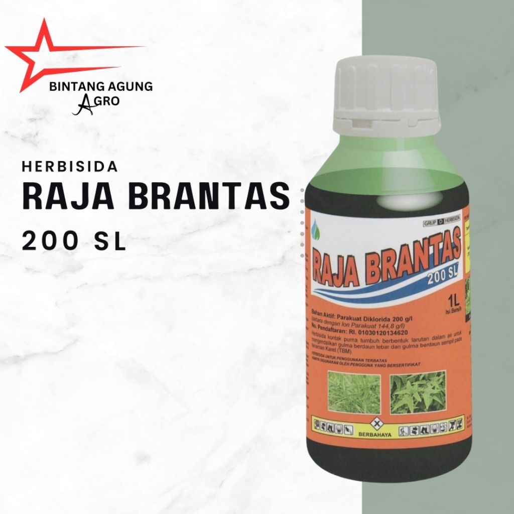Raja Brantas 200 Sl