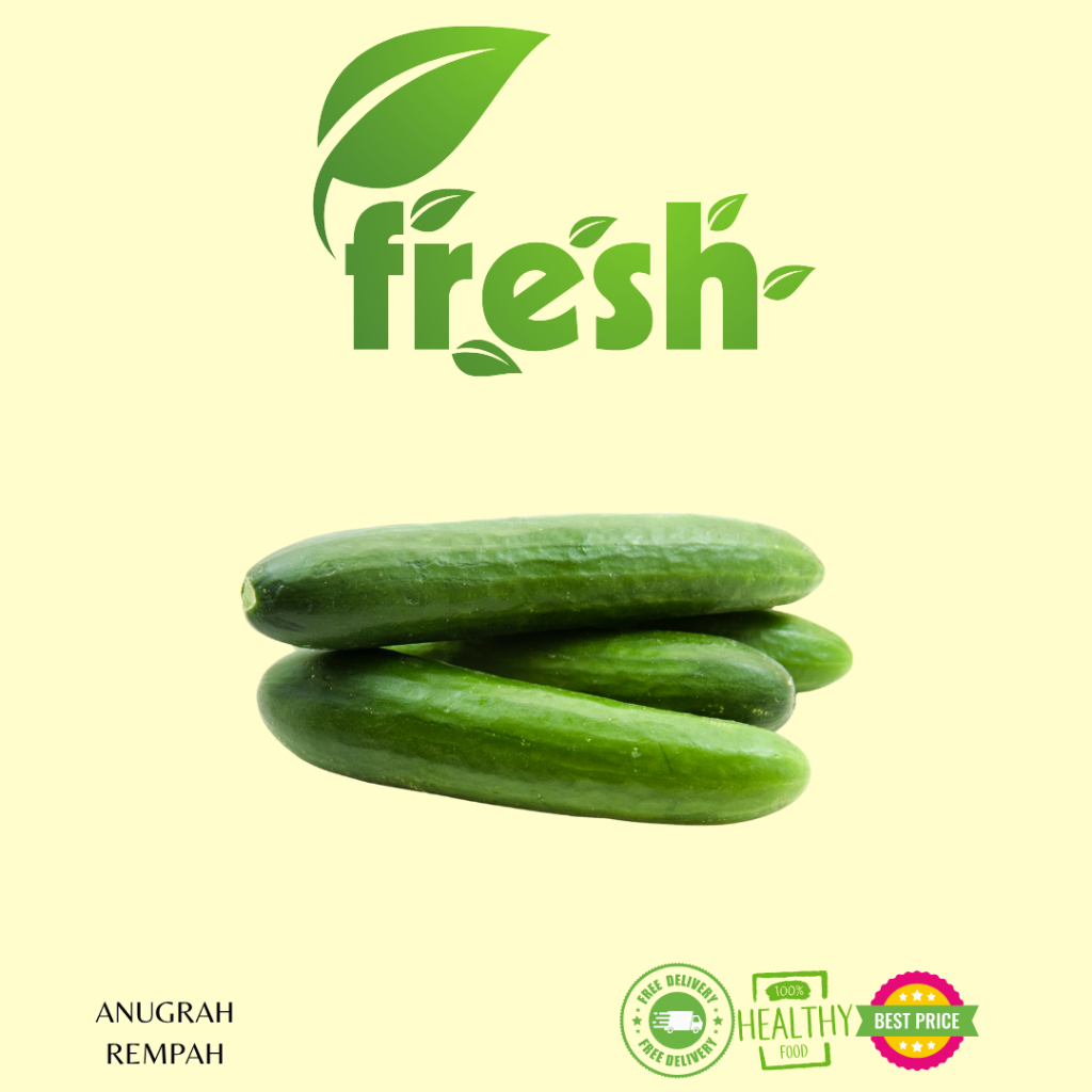 

Mentimun Timun Kyuri JEPANG 250 gram - 500 gram Anugrah Rempah