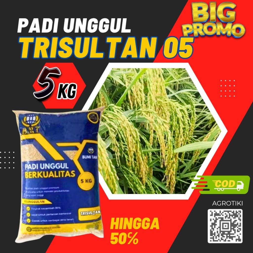benih padi unggul trisultan original bibit padi trisultan kemasan 5kg