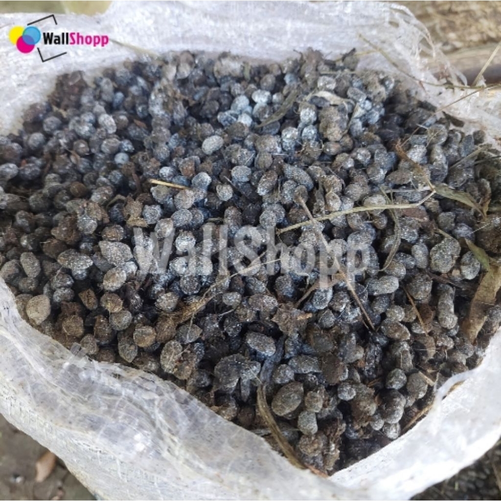 Pupuk Kandang Kohe Tai Kotoran Domba Organik Kering Tanpa Urin Untuk Tanaman 1kg Satu Kilo