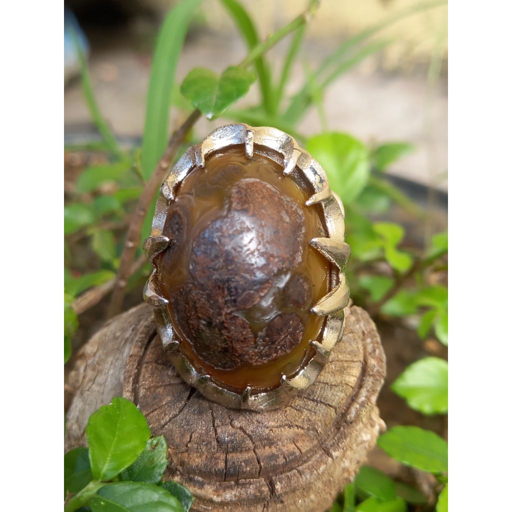 Akik Badar Sulaiman Madu