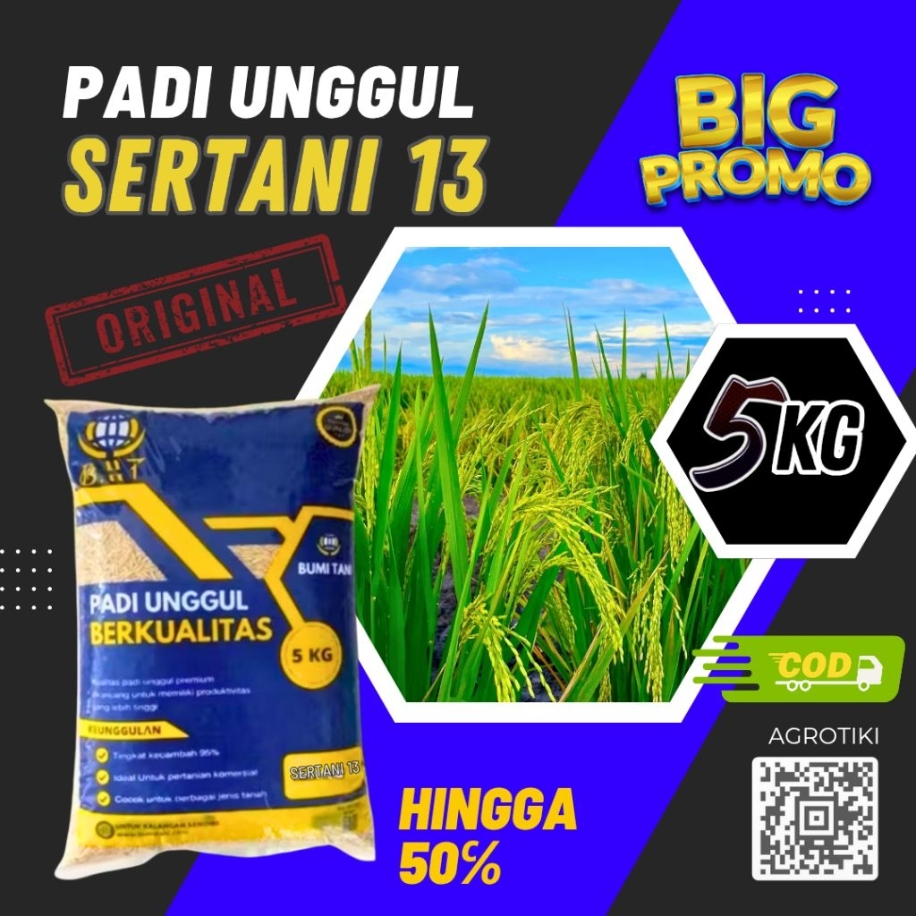 Benih padi unggul sertani 13 benih padi unggul sertani orginal kemasan 5kg