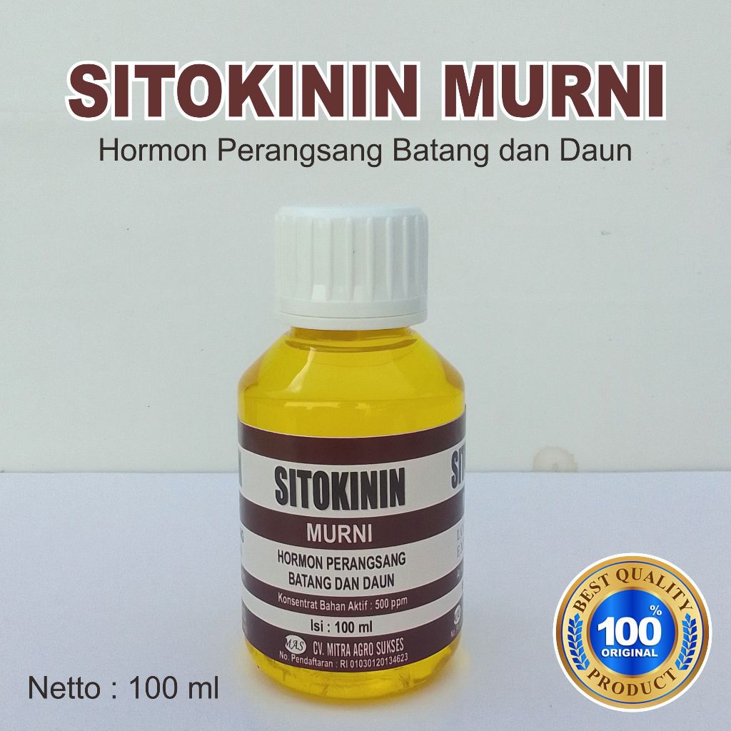 Sitokinin Murni Hormon ZPT Tanaman