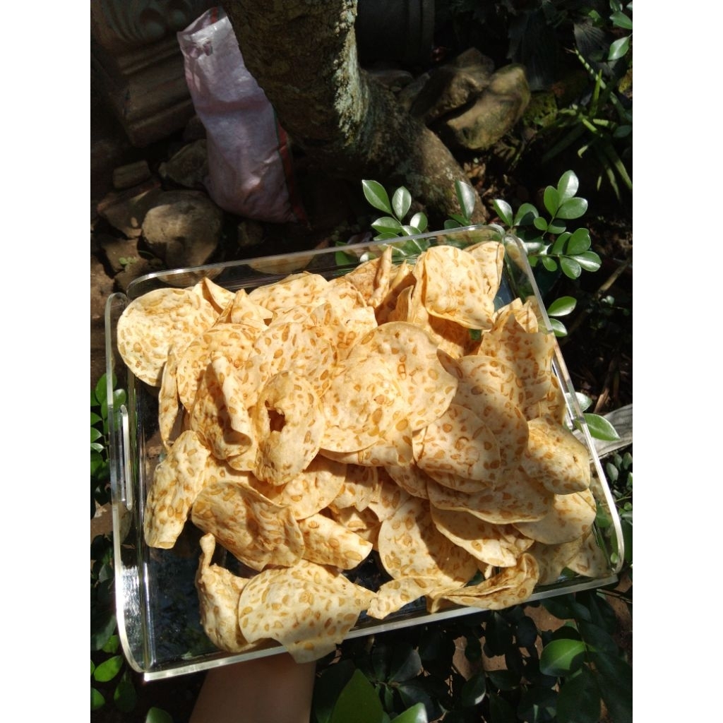 

kripik tempe sagu khas trenggalek (250gram)