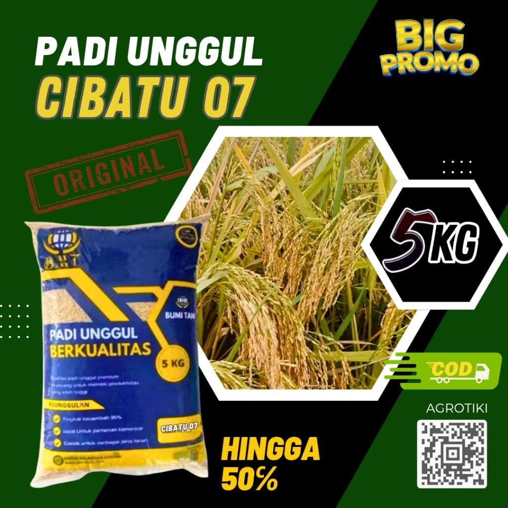 benih padi unggul cibatu 07 benih padi unggul cibatu berkualitas super kemasan 5kg