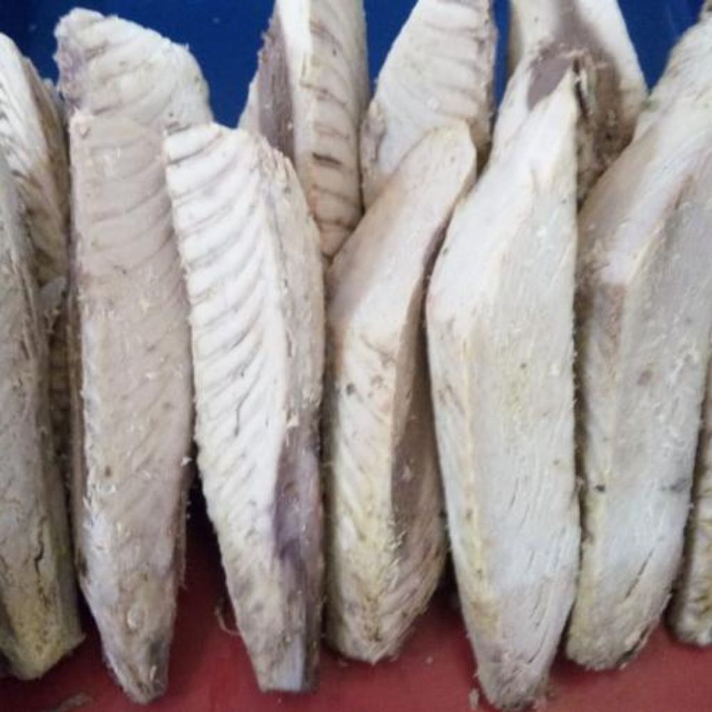 

[PS] Ikan Tongkol 1 Ekor