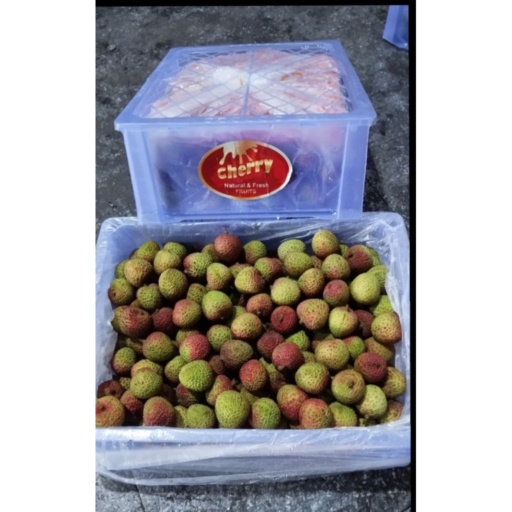 

leci madu segar grosir 5 kg