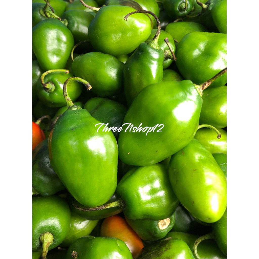 

CABE GENDOT FRESH BERAT 500gr | CABAI GENDOT BANDUNG